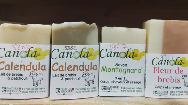 Canola - Roland Dutrey